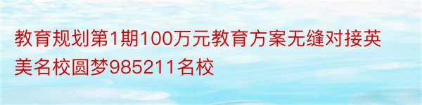 教育规划第1期100万元教育方案无缝对接英美名校圆梦985211名校